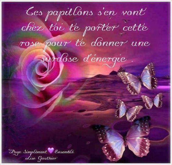 Bonjour Bonsoir Bonne Nuit Apk 5 0 For Android Download Bonjour Bonsoir Bonne Nuit Apk Latest Version From Apkfab Com