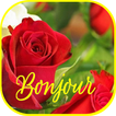 Bonjour Images