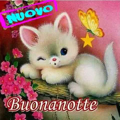 Baixar Buonanotte Immagini APK