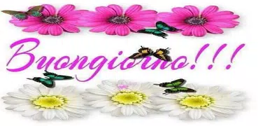 Buongiorno Amore