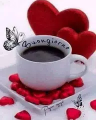 Buongiorno Amore APK download