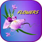 ikon Flowers Images