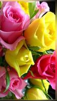 Flowers Images poster