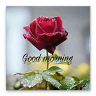 Good Morning Wishes & DP Status آئیکن