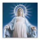 Mother Mary Wallpapers-APK