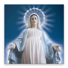 Mother Mary Wallpapers-icoon