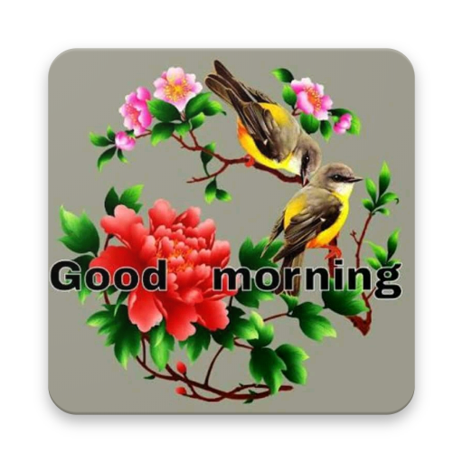 Good Morning Wishes