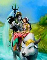 Shiv Parvati Full Screen HD Wallpapers ภาพหน้าจอ 3