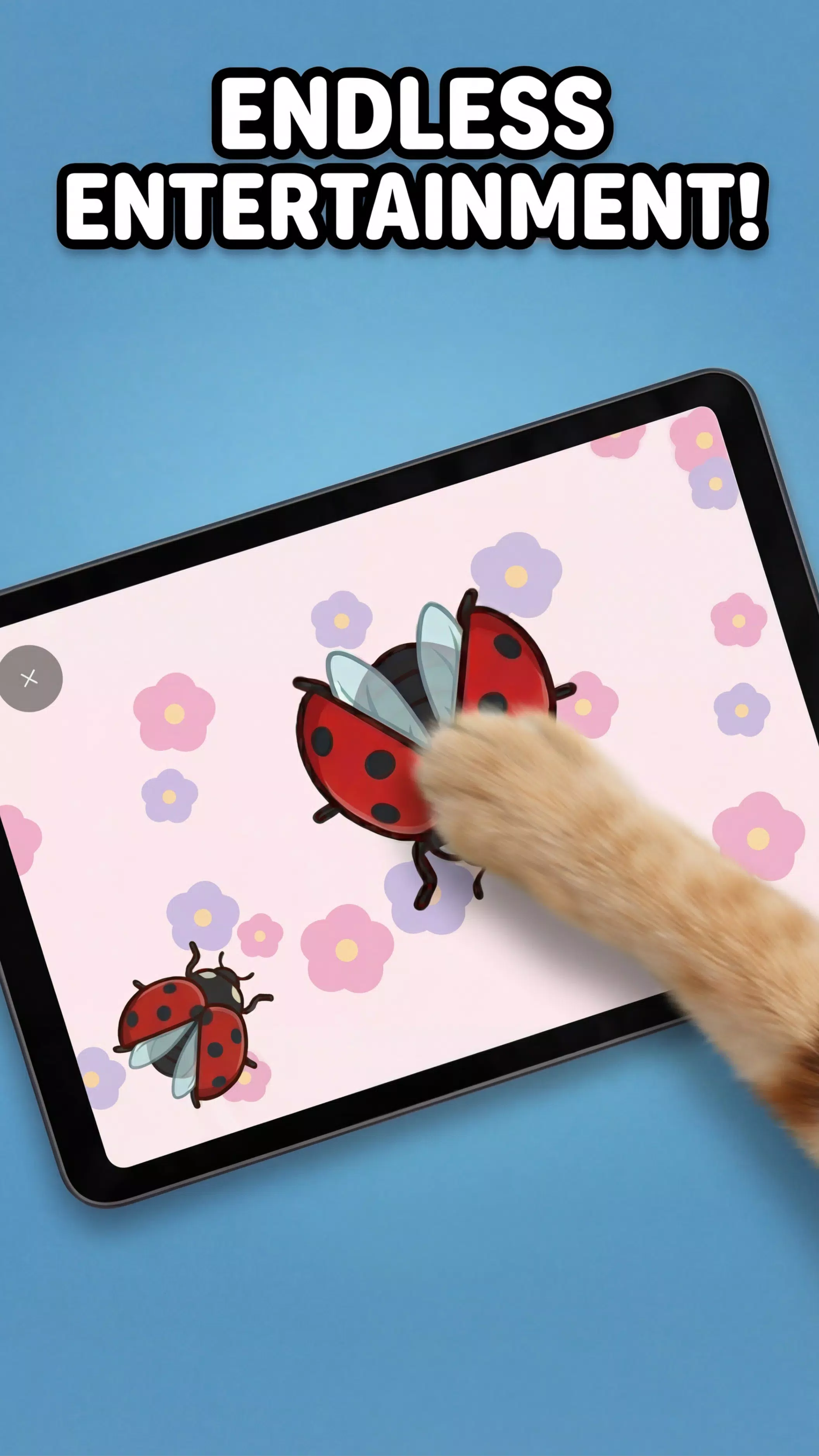 猫玩游戏 – 猫玩具