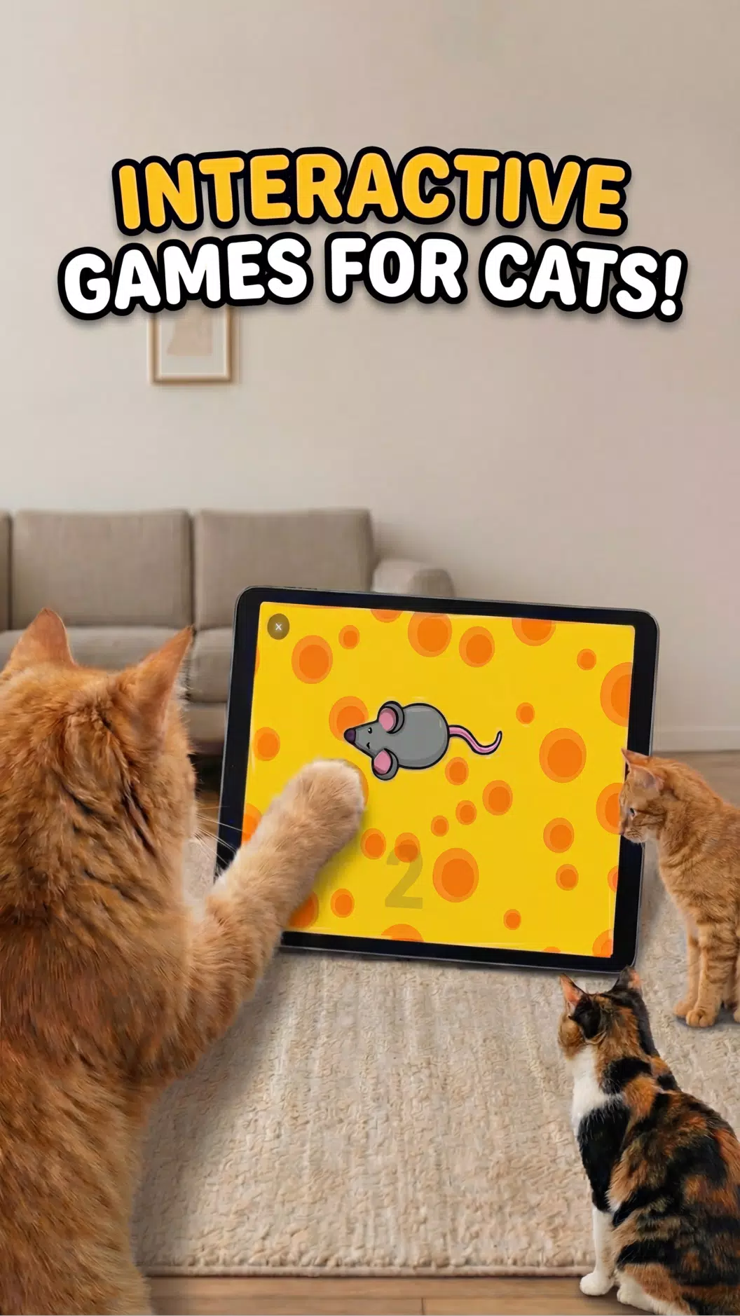 猫玩游戏 – 猫玩具