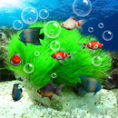 Aquarium Live Achtergrond-APK