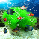 Aquarium APK