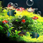 Aquarium Live Wallpaper ikona