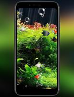 Poster Aquarium Live Wallpaper