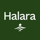 Halara biểu tượng