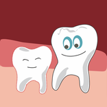 Календарь прорезывания зубов