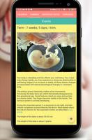 Pregnancy Calendar スクリーンショット 2
