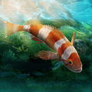 Aquarium Designer APK