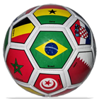 Copa Feminina आइकन
