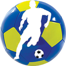 Copa Sul Americana PRO Info7 APK