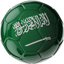 Campeonato Saudita PRO Info7 APK
