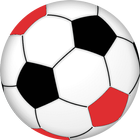 Campeonato Gaúcho icon