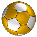 APK Libertadores