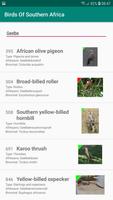 Birds Of Southern Africa Screenshot 3