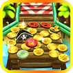 Lucky Pirates Coin Pusher Party