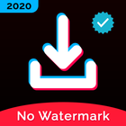 Video Downloader for TikTok - No Watermark icône