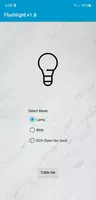 پوستر Flashlight