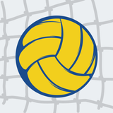 Spike Volley APK
