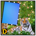Tiger Photo DP