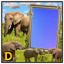 Elephant Photo DP APK