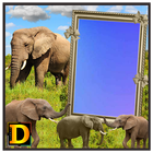 Elephant Photo DP biểu tượng