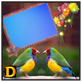 Gouldian Finch Bird Photo DP