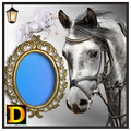 Horse Photo DP