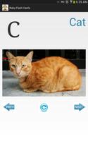 Baby Flash Cards screenshot 1