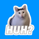 Cat Sounds for Cats APK