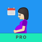 Semanas a meses de embarazo icône