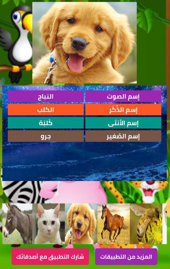 أسماء صغار و إناث و ذكور و أصوات الحيوانات For Android Apk Download