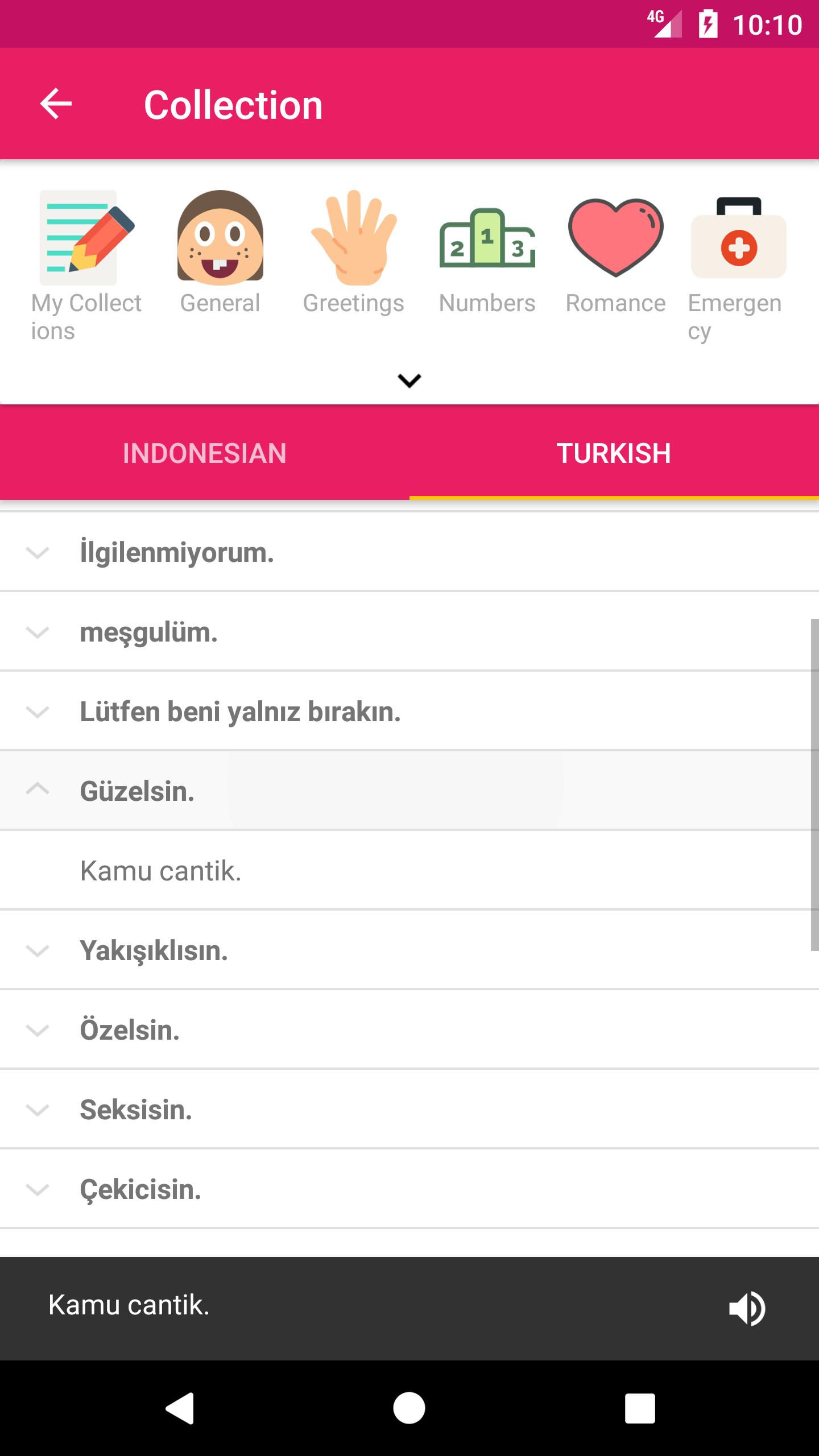 android icin endonezya dili turkce internetsiz sozluk cevirmen apk yi indir