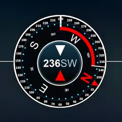 Скачать Compass Pro (Altitude, Speed Location, Weather) APK