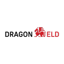 DRAGON ELD APK