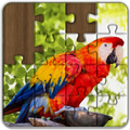 Puzzles World