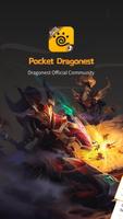 Pocket Dragonest Cartaz