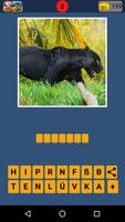 Animal Quiz - Guess animal game to learn animals Plakat