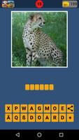 Animal Quiz - Guess animal game to learn animals Screenshot 2