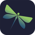 Dragonfly Hub