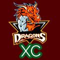 DRAGONS XC